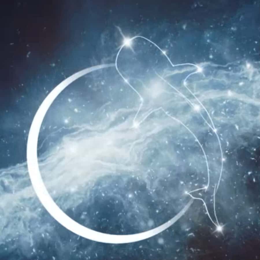 Esperance: Astronomy Night Experience - Exploring Esperance’s Night Sky: An In-Depth Review