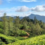 Essence of Sri Lanka: 12 Days of Culture, Nature & Adventure - Transportation, Price, and Practicalities