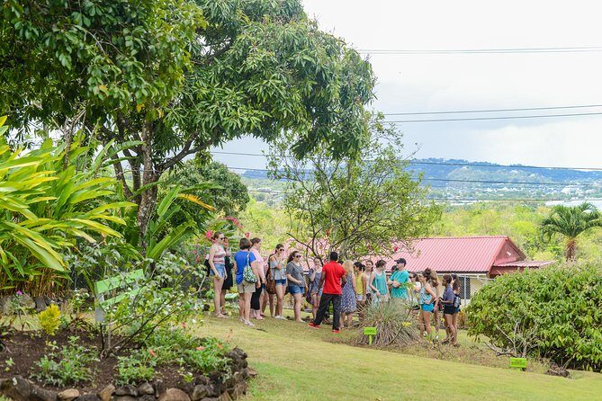 Essence of St Lucia Heritage Experience - The Value of the Tour