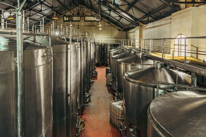 Estate Wine Tour Hotel Irada Pune - An Authentic Look at Maharashtra’s Premier Wine Experience