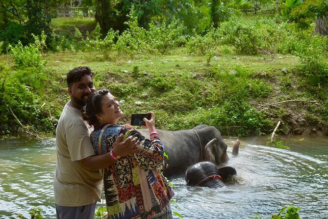 Ethical Elephant Sanctuary from Phuket (NO RIDE) - Why This Tour Stands Out