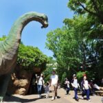 Everland Theme Park Entry Ticket - A Closer Look at the Itinerary and Experience