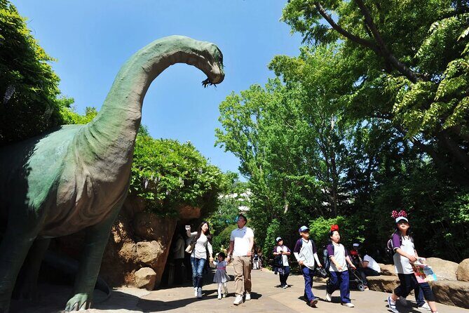 Everland Theme Park Entry Ticket - A Closer Look at the Itinerary and Experience