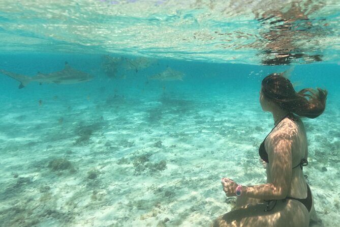 Exceptional Half Day on the Bora Bora Lagoon in Combo - Final Thoughts