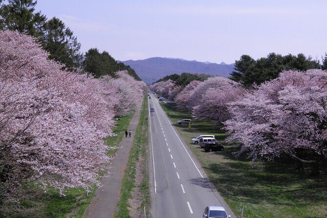 Exclusive 2-Day Tour to Hokkaidos Two Cultural Heritage Areas - An In-Depth Look at the 2-Day Hokkaido Cultural Heritage Tour