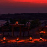 Exclusive : Afternoon Yala Safari with Beach BBQ Dinner - A Deep Dive into What You Can Expect