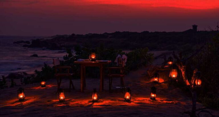 Exclusive : Afternoon Yala Safari with Beach BBQ Dinner - A Deep Dive into What You Can Expect