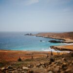 Exclusive Aruba UTV Tours - Pricing & Value Analysis