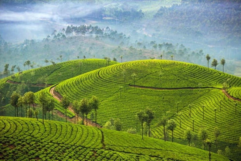 Exclusive, Backwater of Kerala & Houseboat Tour (06 Days) - Practical Details and What You’ll Love