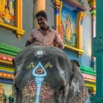 Exclusive Day Tour from Chennai to Discover Pondicherry - The Experience from the Reviews