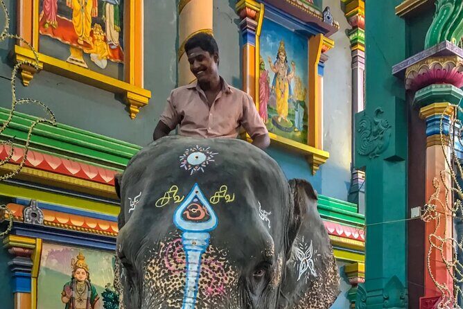 Exclusive Day Tour from Chennai to Discover Pondicherry - The Experience from the Reviews