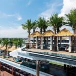 Exclusive Halong Bay Day Cruise from HanoiLargest Luxury Vessel - Practical Considerations