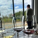 Exclusive Martinborough Wine Tour - Practical Details & Considerations