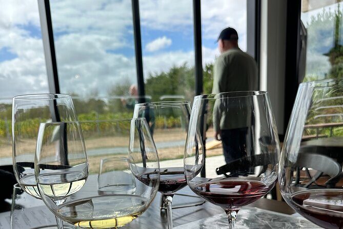 Exclusive Martinborough Wine Tour - Practical Details & Considerations