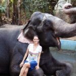 Exclusive Periyar Wildlife with Elephant Bath Tour (03 Days) - Exploring the Itinerary in Detail