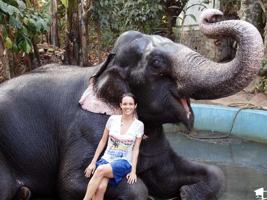 Exclusive Periyar Wildlife with Elephant Bath Tour (03 Days) - Exploring the Itinerary in Detail