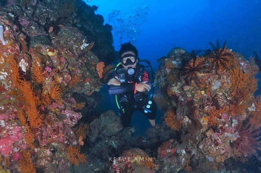 Exclusive private dive guide and underwater photography - The Value Proposition: Is It Worth It?