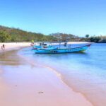 Exclusive Private Pink Beach with Snorkeling Tour - What Makes This Tour Stand Out?