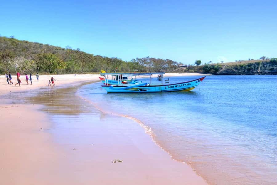 Exclusive Private Pink Beach with Snorkeling Tour - What Makes This Tour Stand Out?