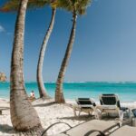 Exclusive Punta Cana Private City Tour - What to Expect from the Experience