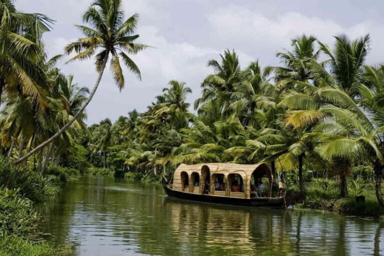 Exclusive Same Day Kerala Houseboat Cruise Tour in Alleppey - Transportation and Comfort