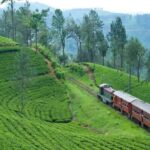 Exclusive: Scenic Train Ride & Horton Plains Private Tour - Who Should Consider This Tour?