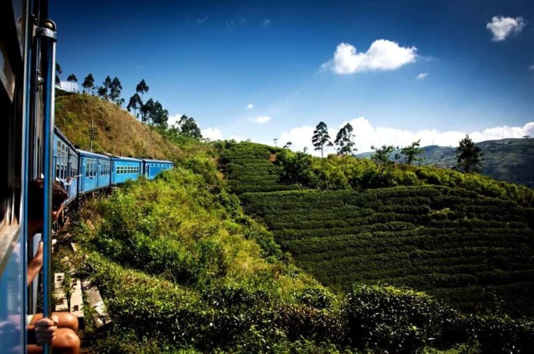 Exclusive: Scenic Train Ride & Horton Plains Private Tour - What Makes This Tour Stand Out?