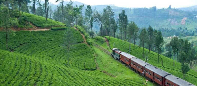Exclusive: Scenic Train Ride & Horton Plains Private Tour - Who Should Consider This Tour?