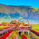 Exclusive Sembalun One-Day Tour: Nature and Scenic Wonders - Exploring the Itinerary in Detail