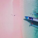 Exclusive Snorkeling Tour to Lombok's Pink Beach and 3 Gilis - The Snorkeling Experience