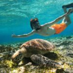 Exclusive Snorkeling trip Gili Terawangan Meno and Air - What Makes This Tour Stand Out?