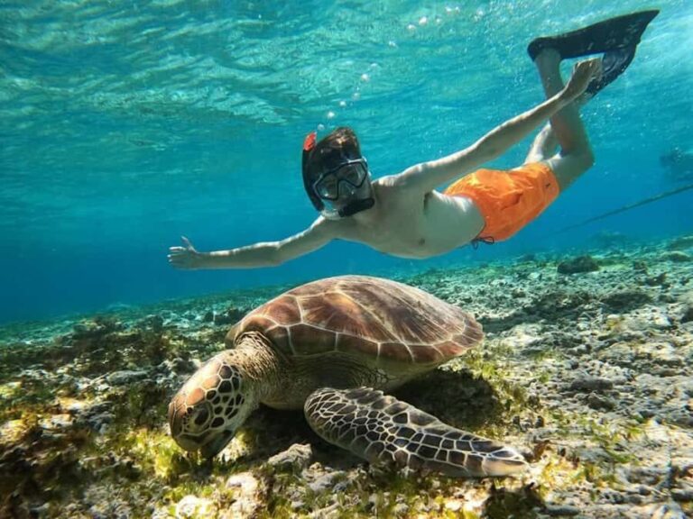 Exclusive Snorkeling trip Gili Terawangan Meno and Air - What Makes This Tour Stand Out?