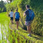 Exclusive Tetebatu: Waterfall, Rice Fields, Monkey & Weaving - Visiting the Monkey Forest