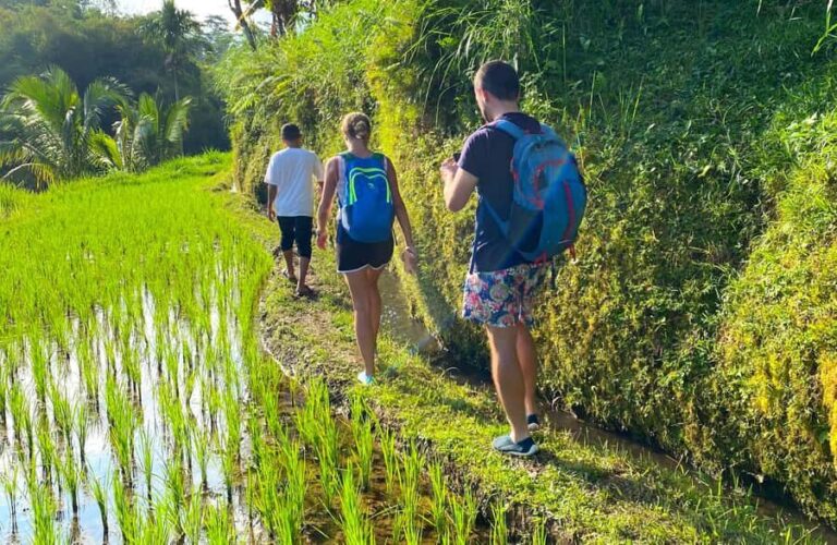 Exclusive Tetebatu: Waterfall, Rice Fields, Monkey & Weaving - Visiting the Monkey Forest