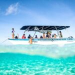 Excursion The Blue Lagoon and Reef Island - Who Will Love This Tour?