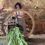 Excursion to Abhaneri and the Monkey Temple from Jaipur - What to Expect on the Tour