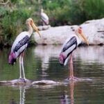Excursion to Surwal Lake With Transfers & Guided Trip - The Value of This Tour