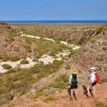 Exmouth: Cape Range Explorer One-Day Trekking Adventure - What Makes This Tour Special?