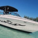 Exotic half day private charters to Rose Island, Pigs and Turtles - Practical Details & Tips