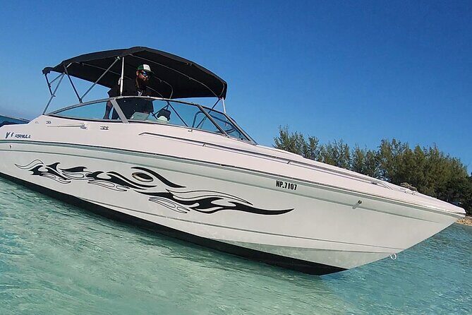 Exotic half day private charters to Rose Island, Pigs and Turtles - Practical Details & Tips