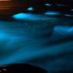 Exotic River Rafting and Luminous Lagoon Adventure - Final Thoughts: Who Should Book This Tour?