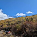 Experience Authentic Chengdu with a Personalized Local Guide - The Itinerary: What Makes It Stand Out