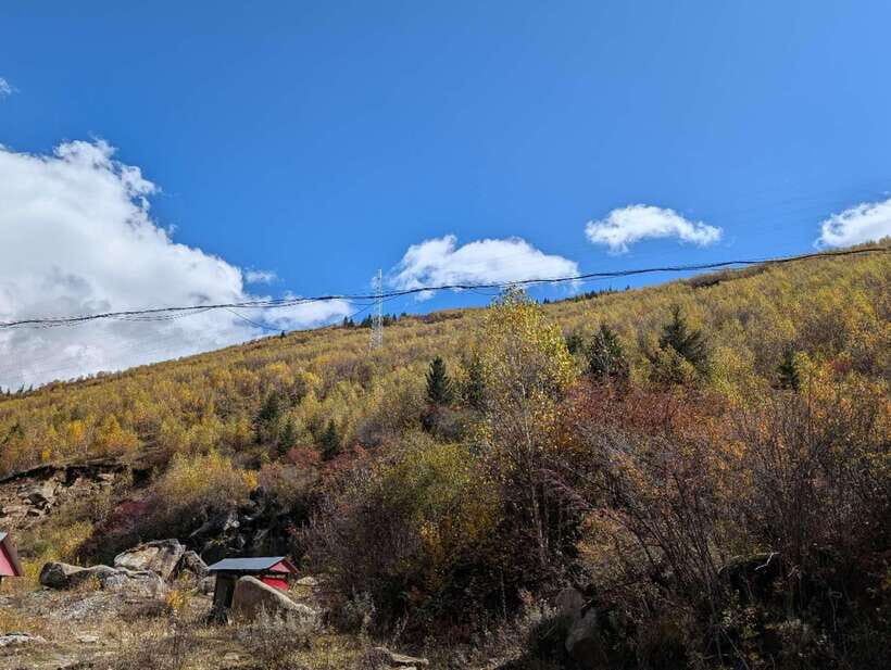 Experience Authentic Chengdu with a Personalized Local Guide - The Itinerary: What Makes It Stand Out