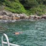 Experience Cham Islands Snorkeling Trip by Speedboat - What Travelers Say (Based on Reviews)