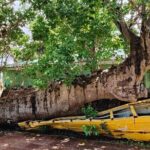 Experience City with Bus Hop on Hop Off Tours - What You Can Expect in Terms of Logistics