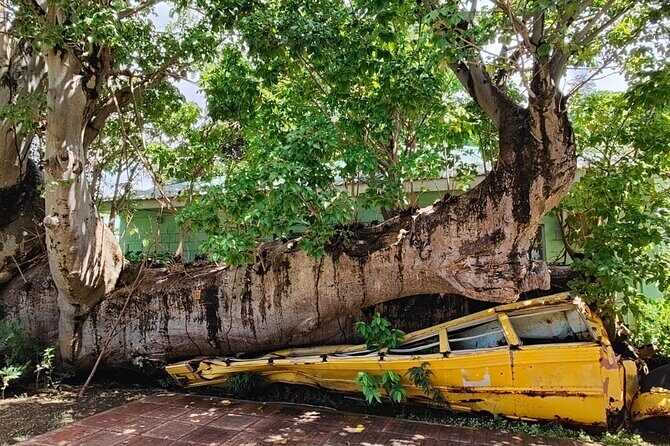 Experience City with Bus Hop on Hop Off Tours - What You Can Expect in Terms of Logistics