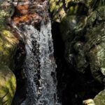 Experience Da Nang Hoi An to Hue via Bach Ma National Park Trekki - What’s Included & What’s Not