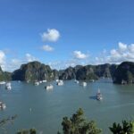 Experience Halong Bay Discovery Day Cruise Trip From Cai Lan Port - Practical Details & Tips for Travelers