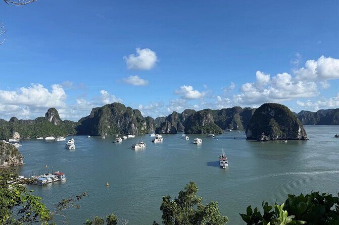 Experience Halong Bay Discovery Day Cruise Trip From Cai Lan Port - Practical Details & Tips for Travelers