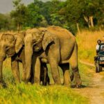 Experience Jungle Nights: Stay in Jim Corbett National Park's FRH - Breaking Down the Itinerary